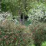 Bed and breakfast La Chabanaise - Marais Poitevin Cramchaban