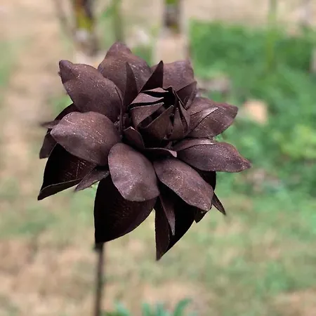 La Chabanaise - Marais Poitevin Panzió