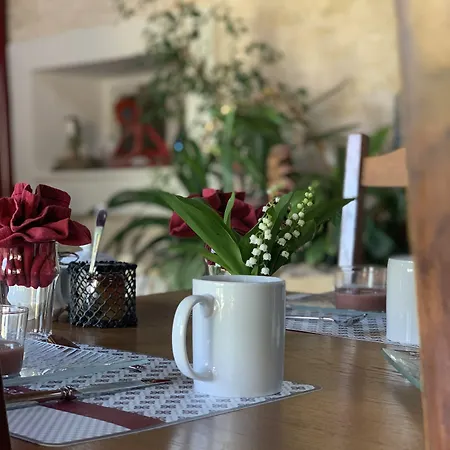 La Chabanaise - Marais Poitevin Bed & Breakfast Cramchaban